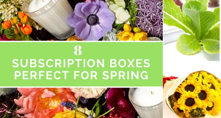 8 Perfect Spring Boxes
