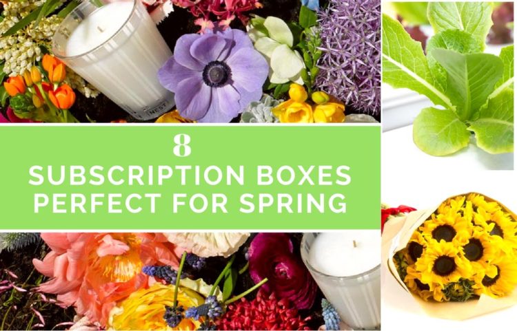 Spring Subscribe 8 Subscription Boxes Perfect for Spring | Subscription Box Society