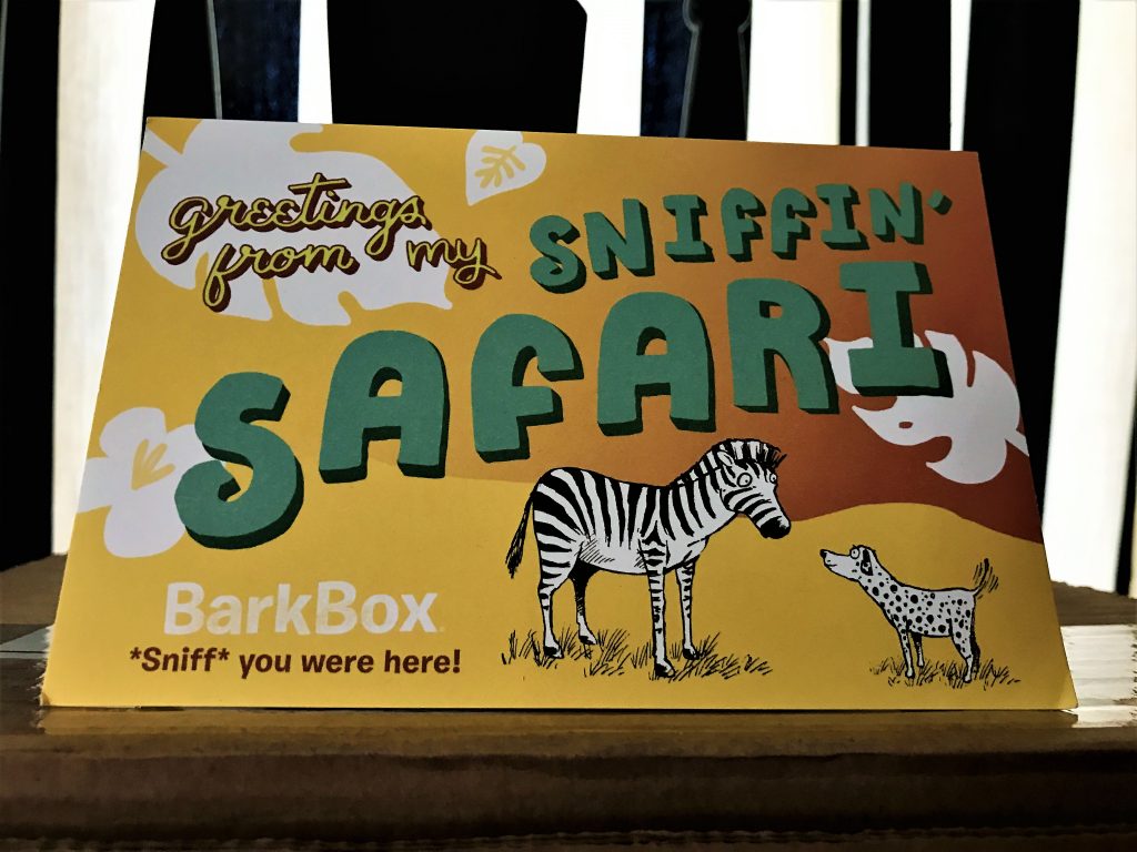 Sniffin Safari
