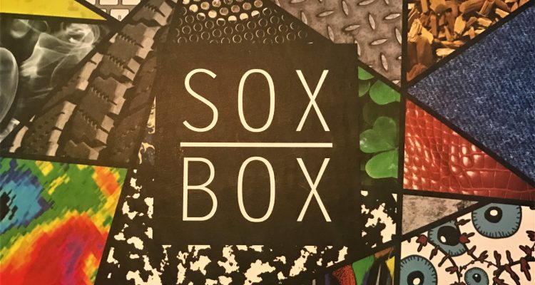 Odd Sox Subscription Box