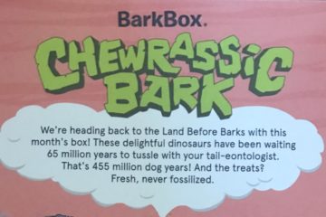 Bark Box June 2017 Review