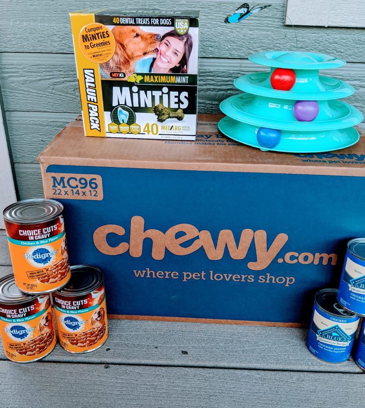 Chewy January Review Subscription Box Society